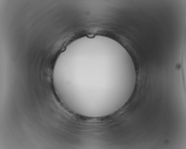 X0000115720470200911121107