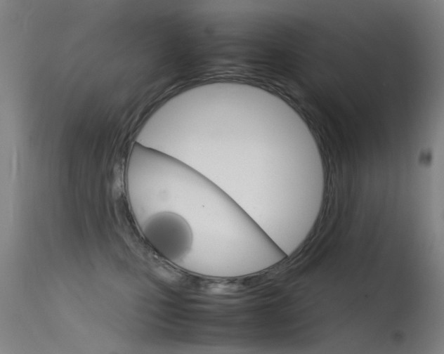 X0000115720471200911121107