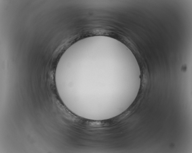 X0000115720473200911121107