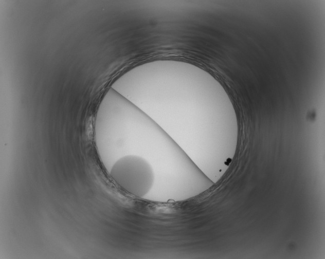 X0000115720475200911121107