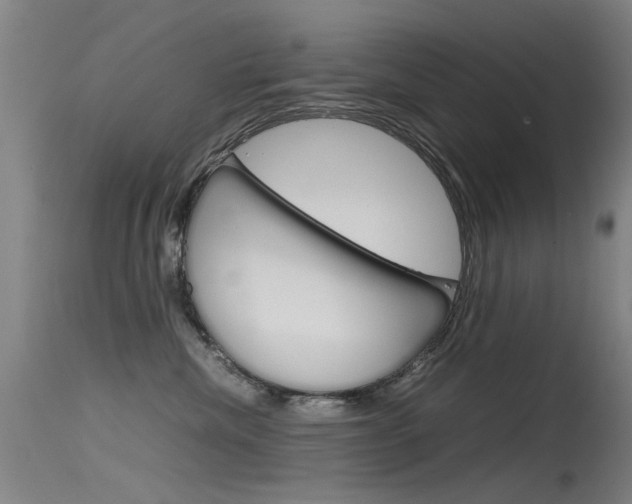 X0000115720476200911121107