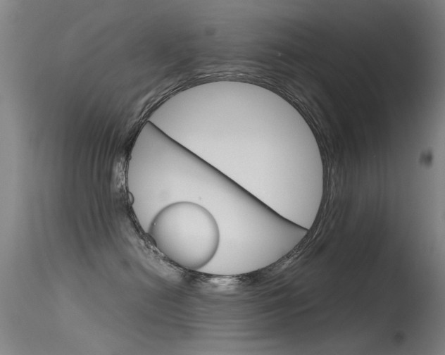 X0000115720478200911121107
