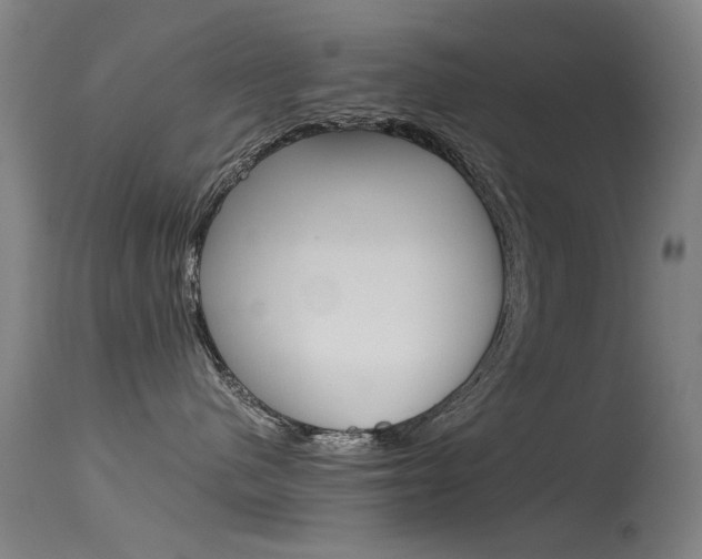 X0000115720480200911121107