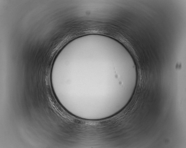 X0000115720482200911121107