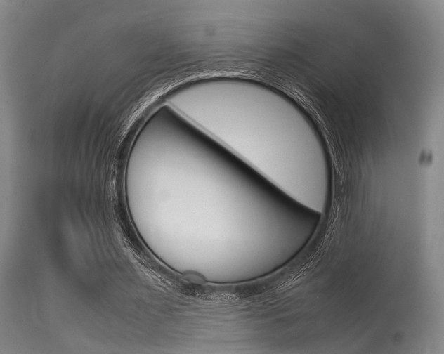 X0000115720483200911121107