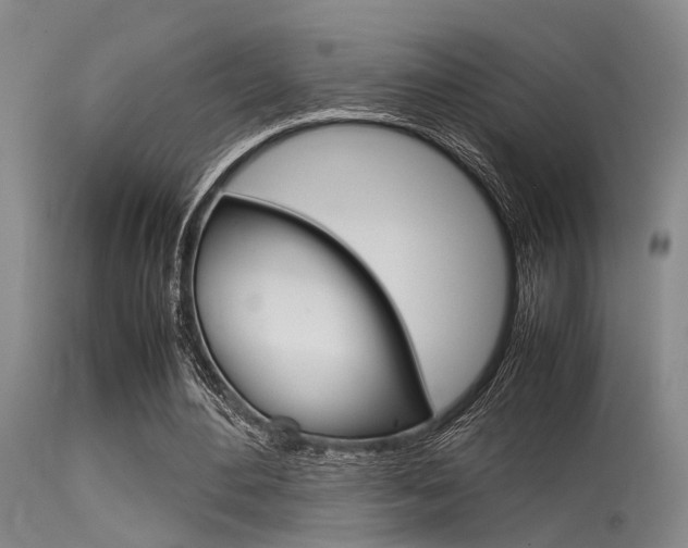 X0000115720484200911121106