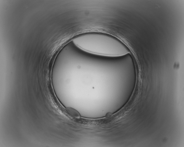 X0000115720485200911121106
