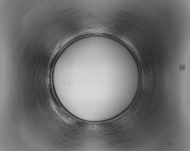 X0000115720486200911121106