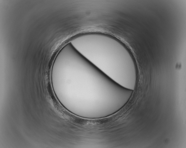 X0000115720487200911121106