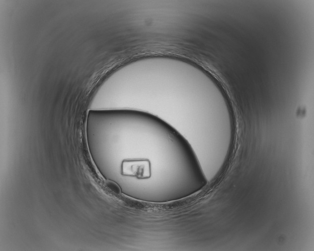 X0000115720489200911121106