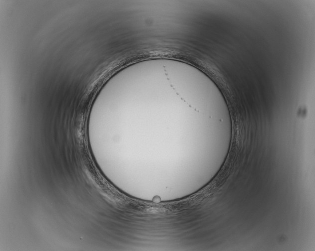 X0000115720490200911121106