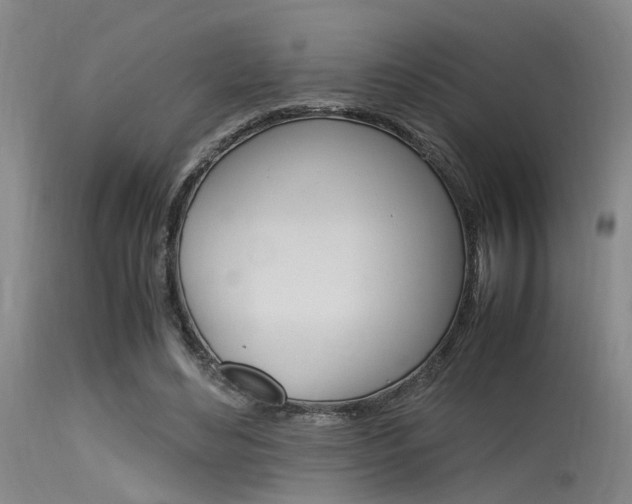 X0000115720492200911121106