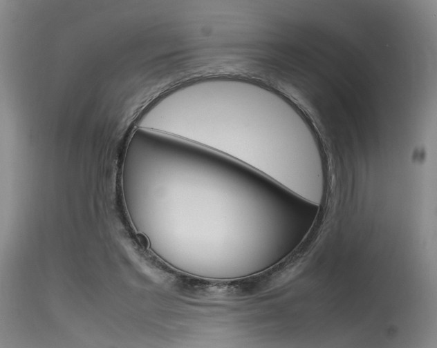X0000115720493200911121106