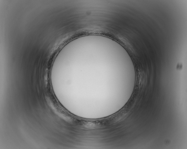 X0000115720494200911121106