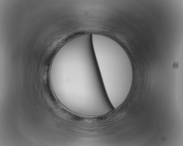 X0000115720495200911121106