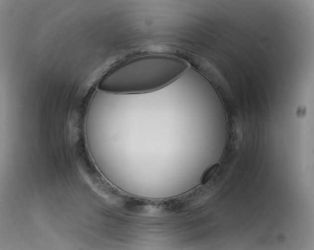 X0000115720496200911121106