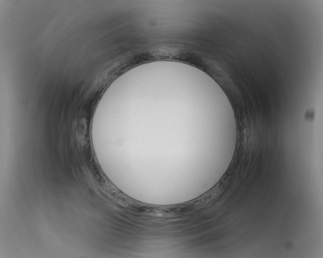 X0000115720498200911121106