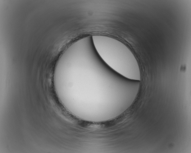 X0000115720499200911121106