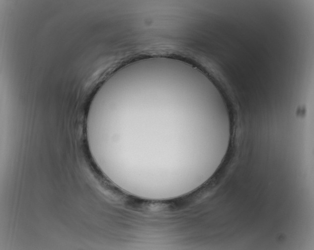 X0000115720501200911121106