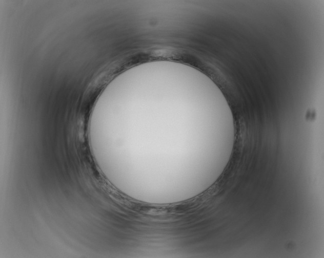 X0000115720502200911121106