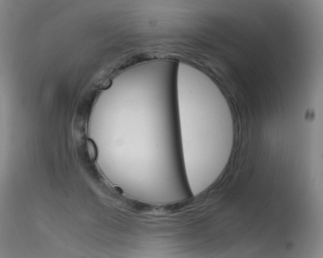 X0000115720503200911121106