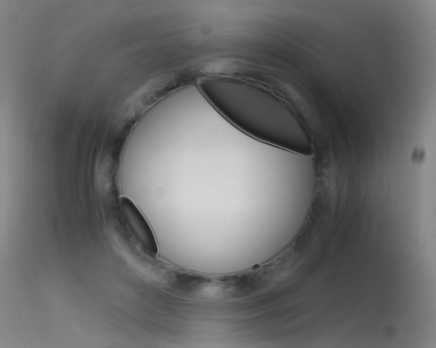 X0000115720504200911121106
