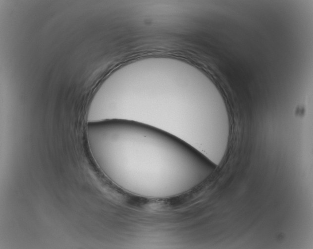 X0000115720505200911121106