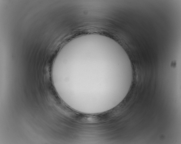 X0000115720506200911121106