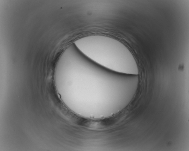 X0000115720507200911121106