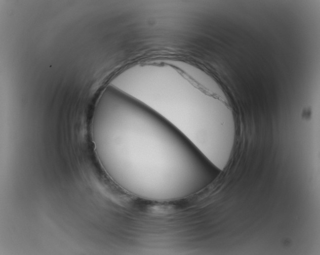 X0000115720508200911121106