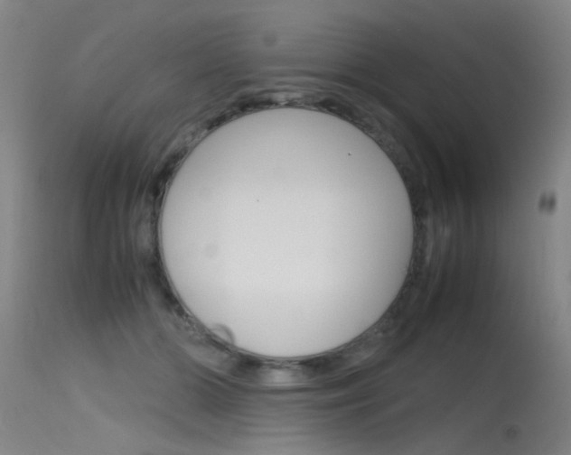 X0000115720510200911121106