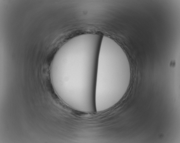 X0000115720511200911121106