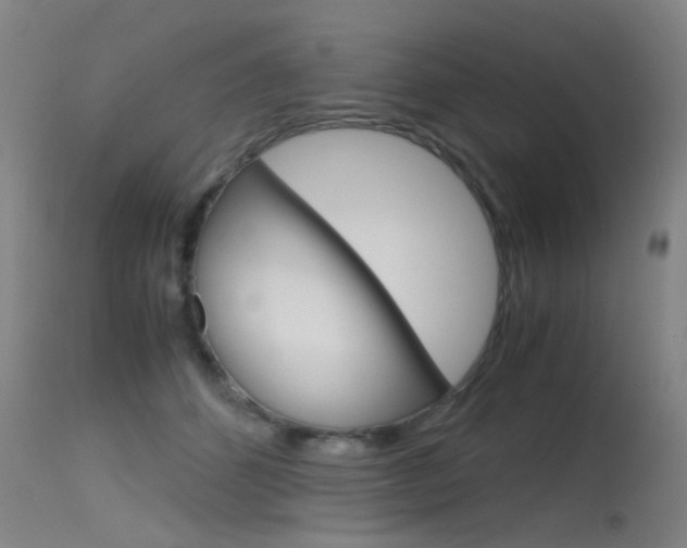 X0000115720512200911121106