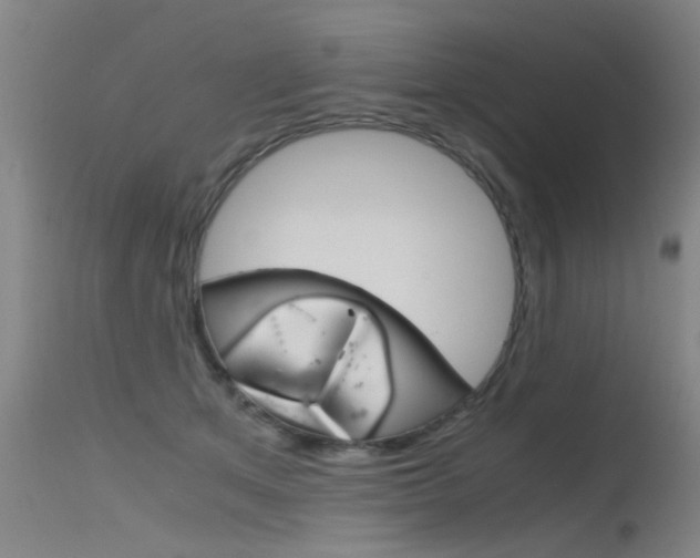 X0000115720513200911121106