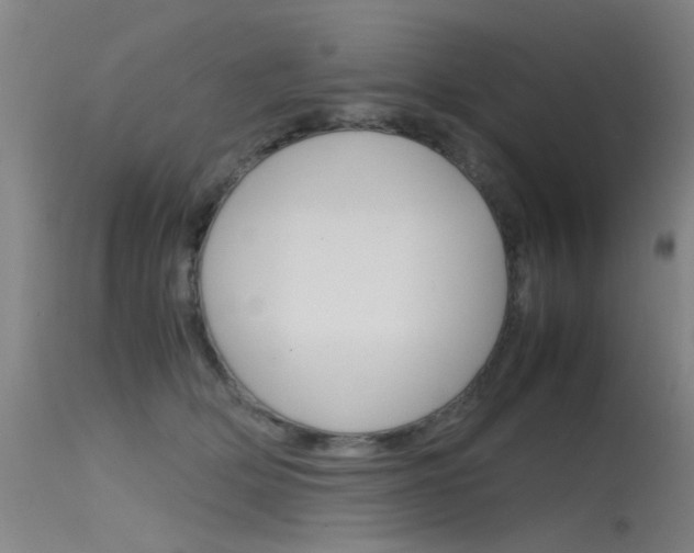 X0000115720514200911121106