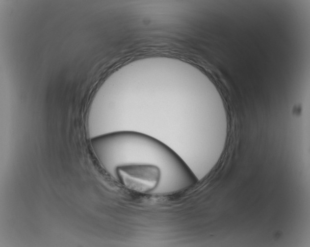 X0000115720517200911121106