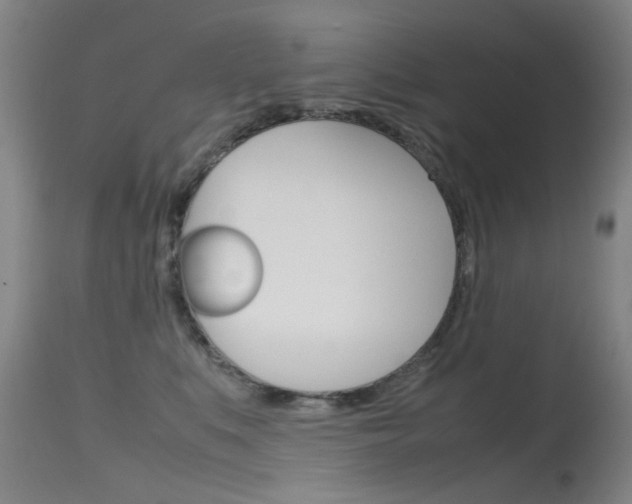 X0000115720519200911121106