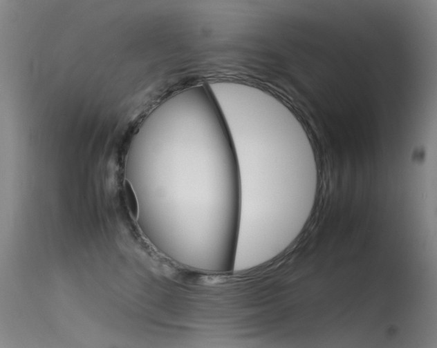 X0000115720520200911121106