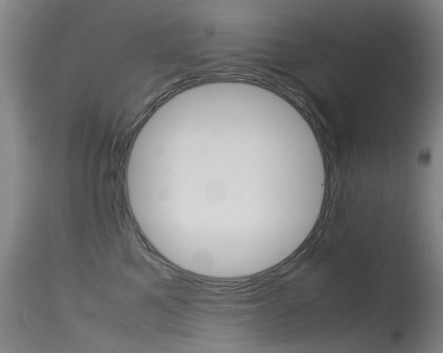 X0000115720521200911121106