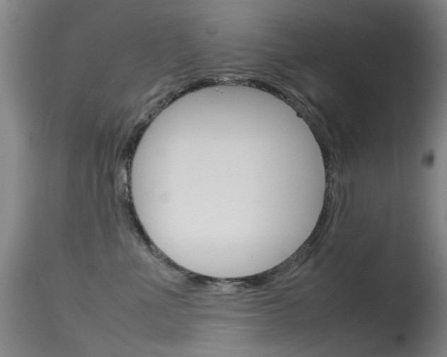 X0000115720523200911121106