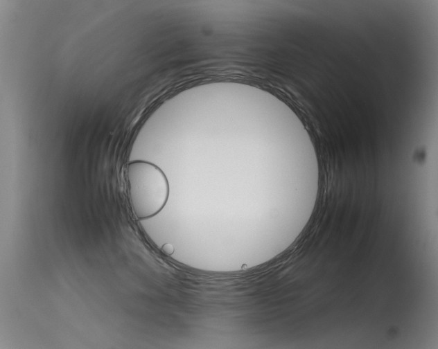 X0000115720524200911121106