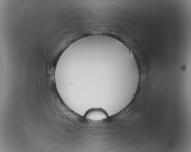 X0000115720525200911121106