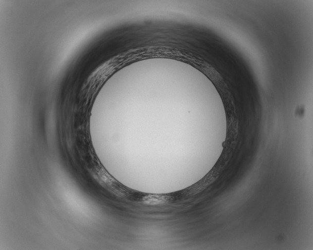 X0000115720526200911121106