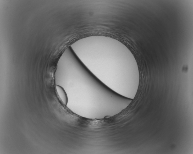 X0000115720527200911121106