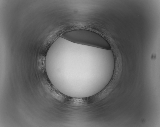 X0000115720528200911121106