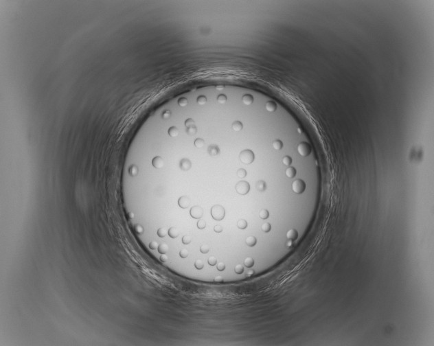 X0000115720529200911121105