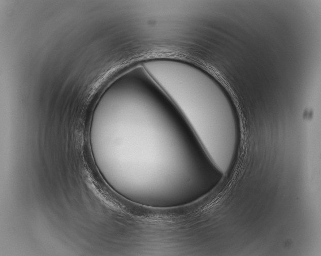 X0000115720530200911121105