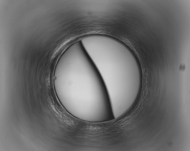 X0000115720531200911121105