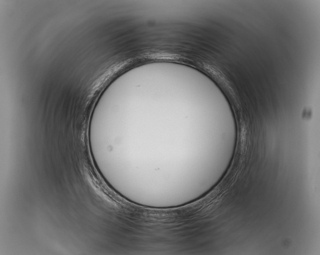 X0000115720533200911121105