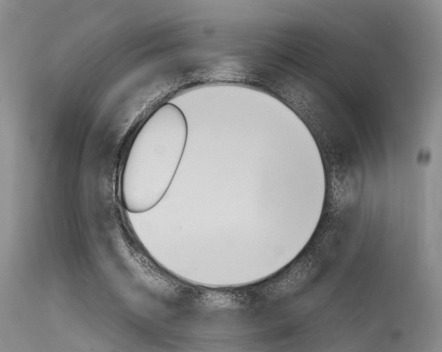 X0000115720534200911121105